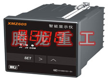 溫度表、數(shù)字顯示儀、濕度表