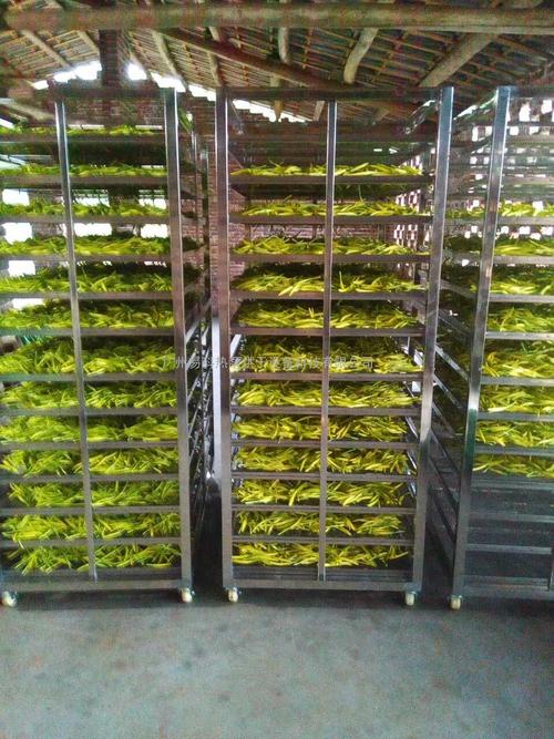 黃花菜烘干機(jī)、黃花菜烘干設(shè)備、黃花菜干燥機(jī)、黃花菜干燥設(shè)備、
